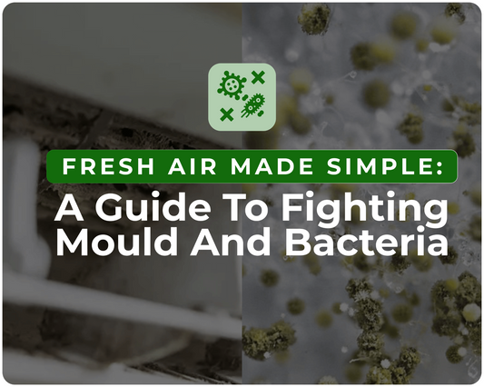 Fresh Air Made Simple: A Guide to Fighting Mould and Bacteria
