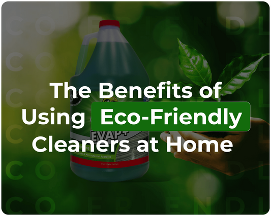The Benefits of Using Eco-Friendly Cleaners at Home