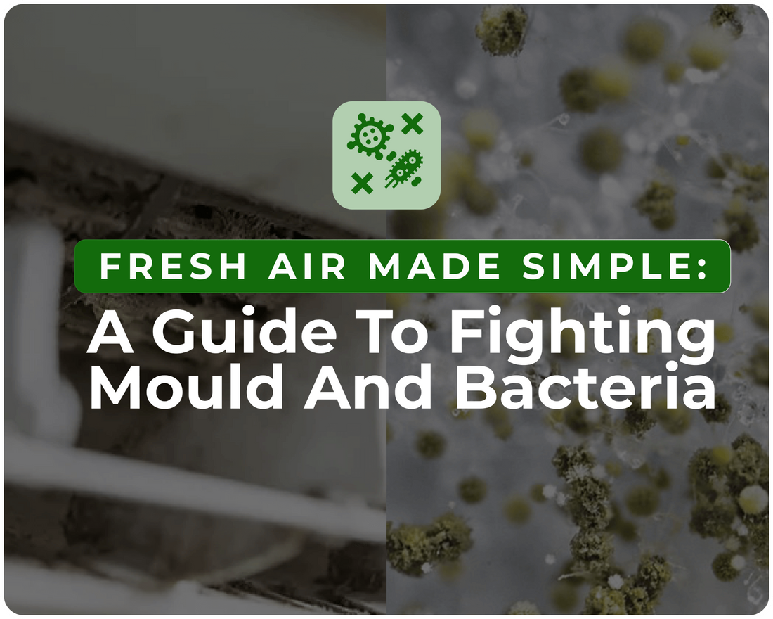 Fresh Air Made Simple: A Guide to Fighting Mould and Bacteria
